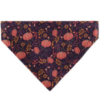 Pet Bandana - Fall Harvest Pumpkins and Flowers Collage Purples/Orange/Greens