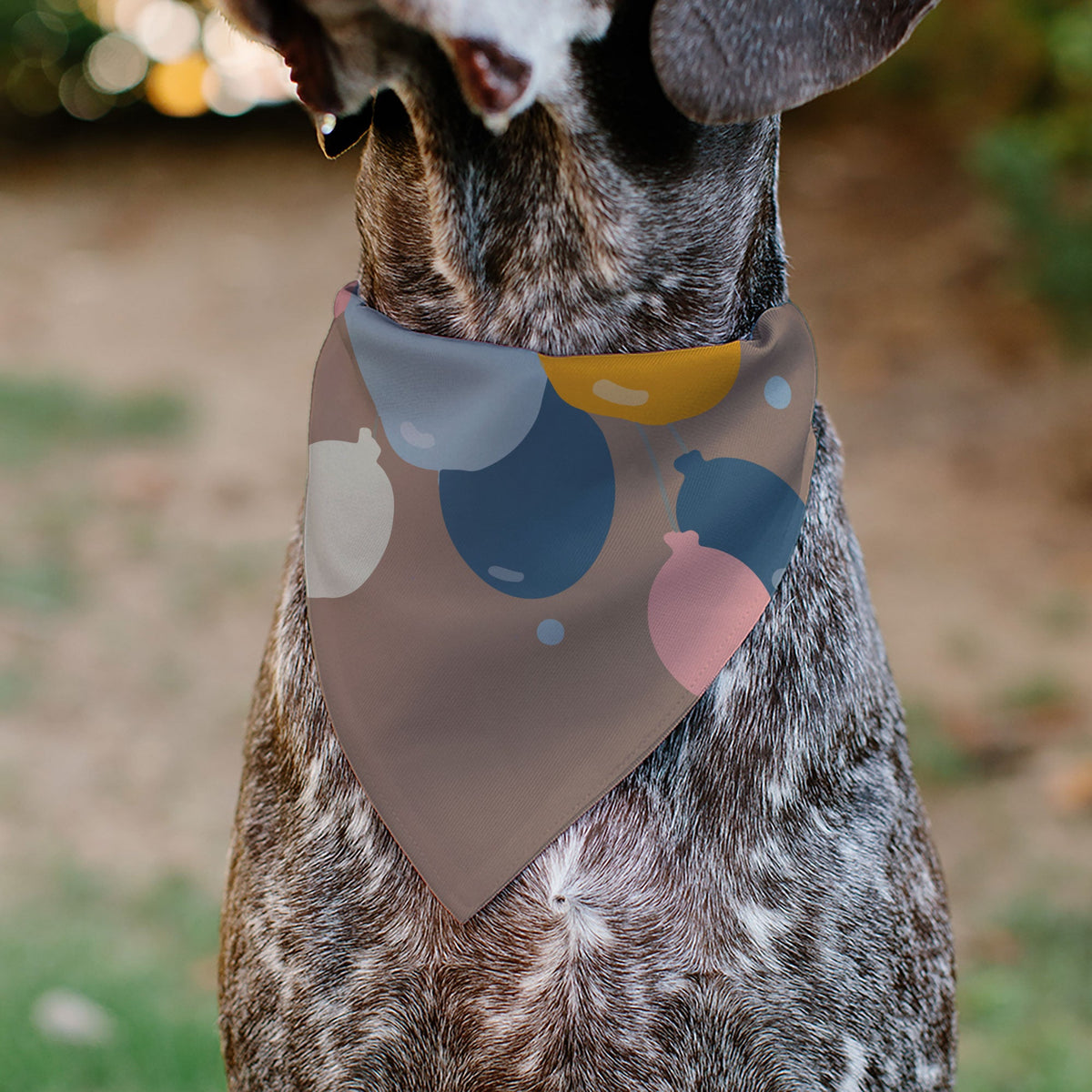 Pet Bandana - HAPPY BIRTHDAY Text and Balloons Tan/Multi Color