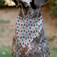 Pet Bandana - Holiday Decorated Christmas Trees Collage White/Multi Color