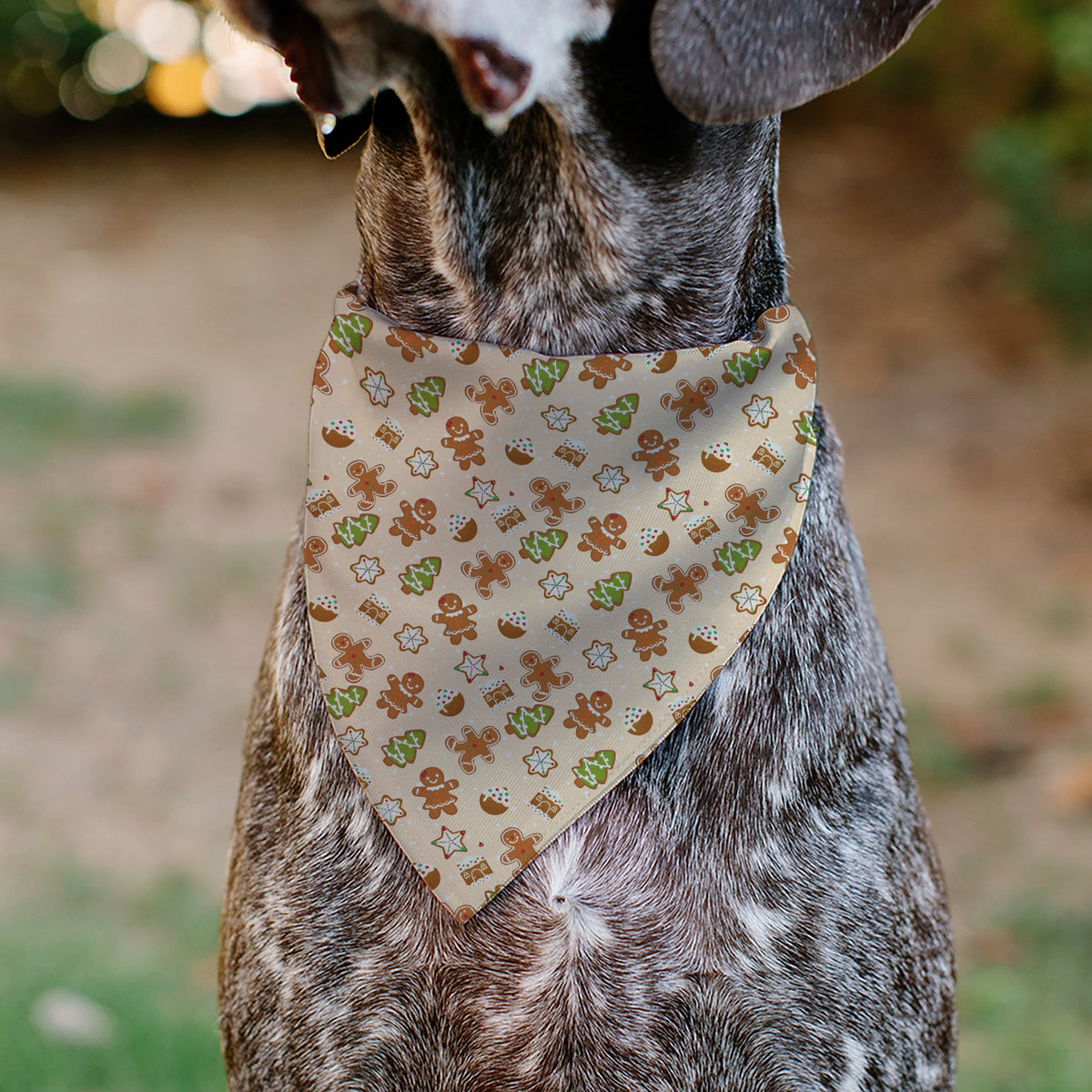 Pet Bandana - Holiday Decorated Gingerbread Cookies Collage Tan