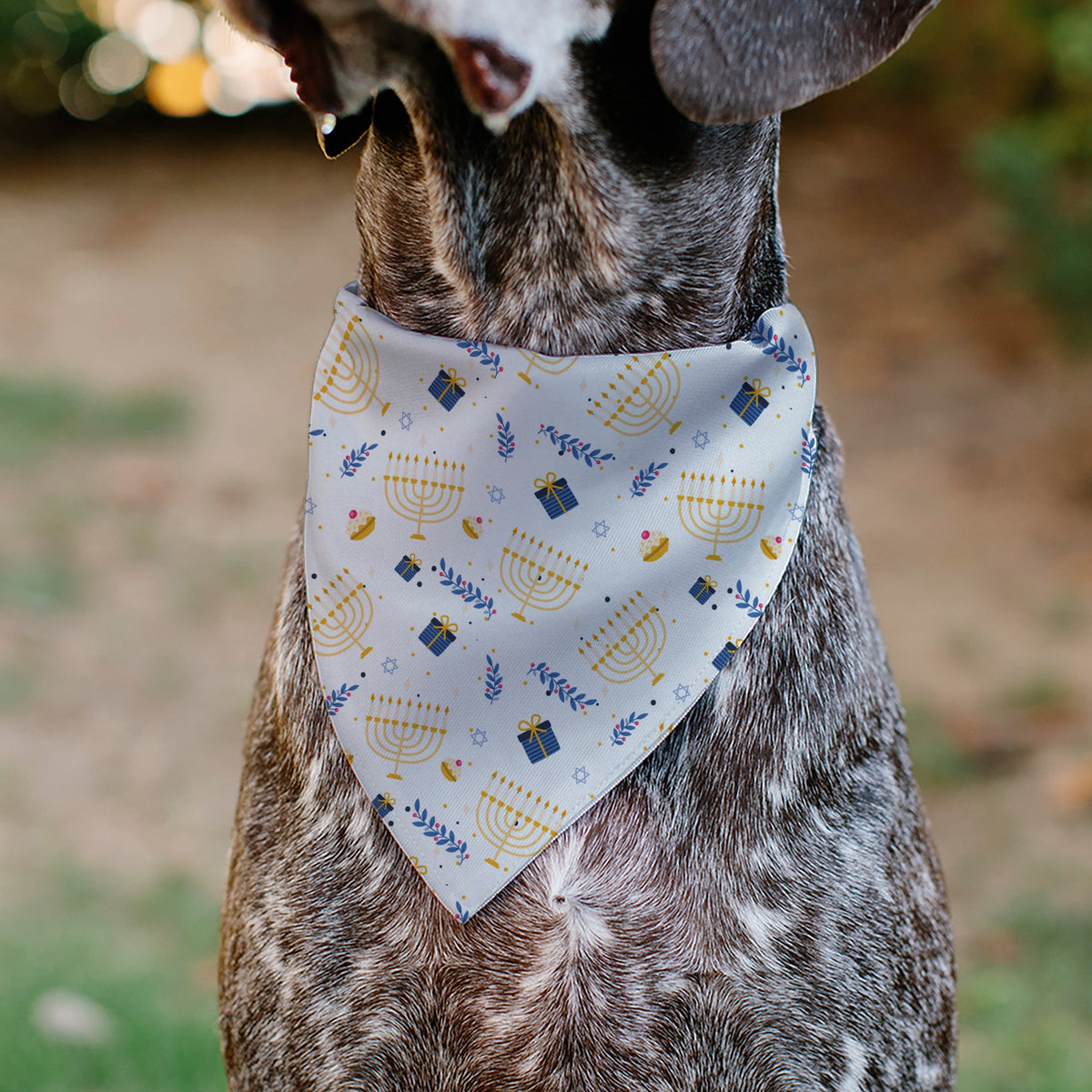 Pet Bandana - Holiday Hanukkah Menorah and Gifts Collage White