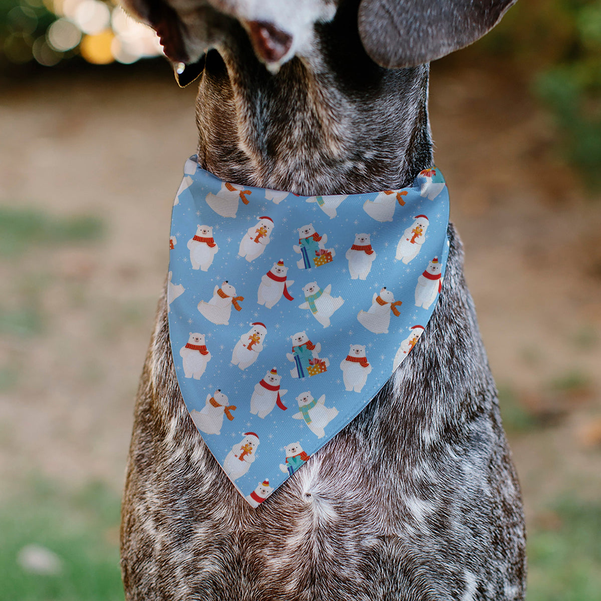 Pet Bandana - Holiday Polar Bear Poses Baby Blue