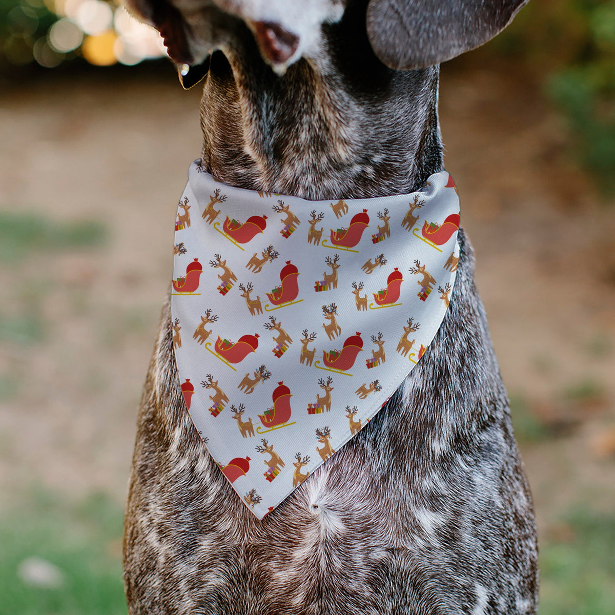 Pet Bandana - Holiday Santa Reindeers and Sleigh Collage White