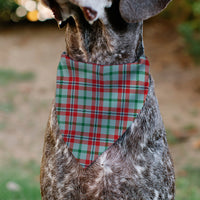 Pet Bandana - Holiday Pajama Plaid Beige/Red/Green