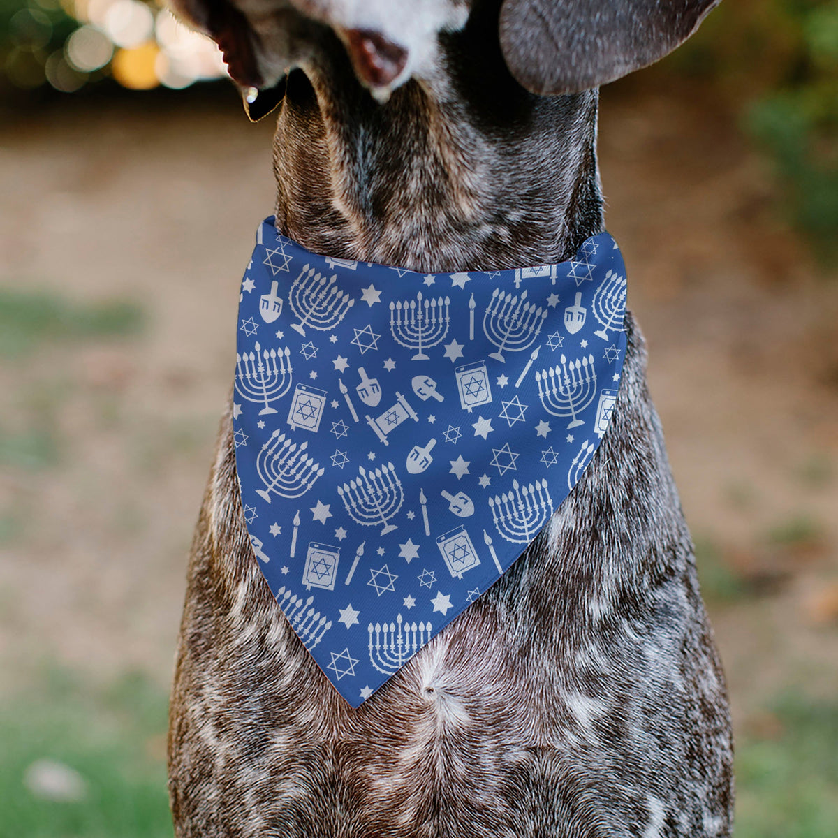 Pet Bandana - Hanukkah Holiday Symbols Blue/White