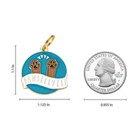 Pawsitivity Pet ID Tag
