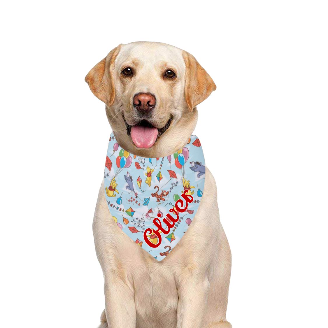 Pooh and Crew Pet Bandana - 3 Red Rovers
