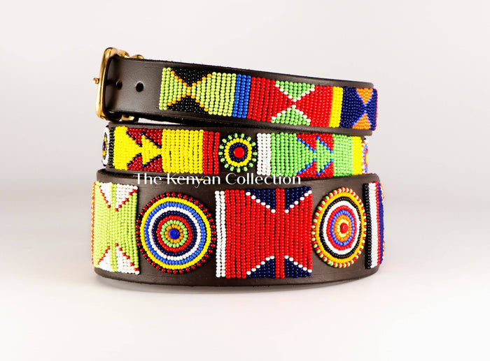 "Primary" Beaded Dog Collar