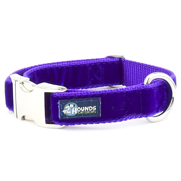 Purple Velvet Essential Dog Collar – 3 Red Rovers