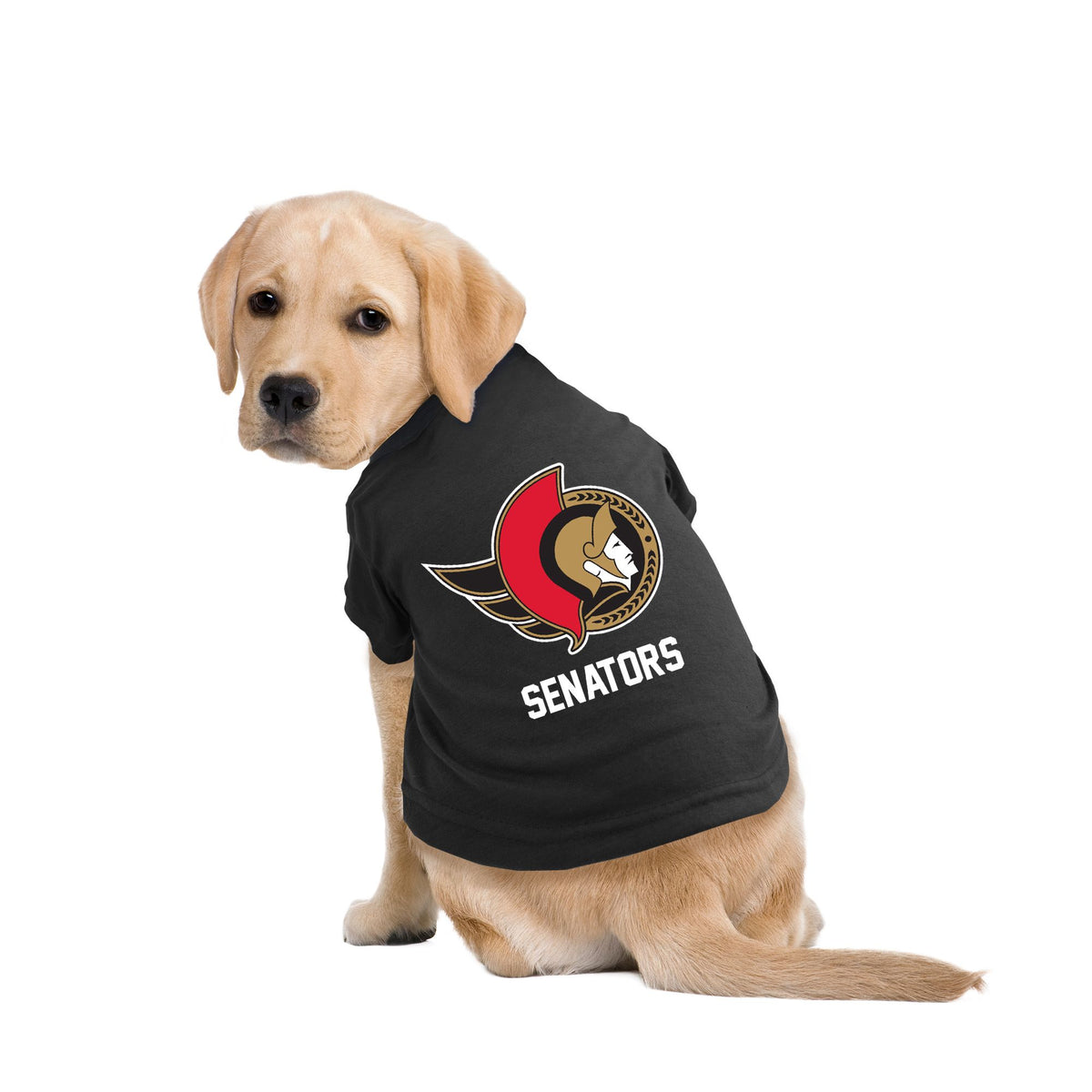 NHL Ottawa Senators Medium Dog Jersey Multi