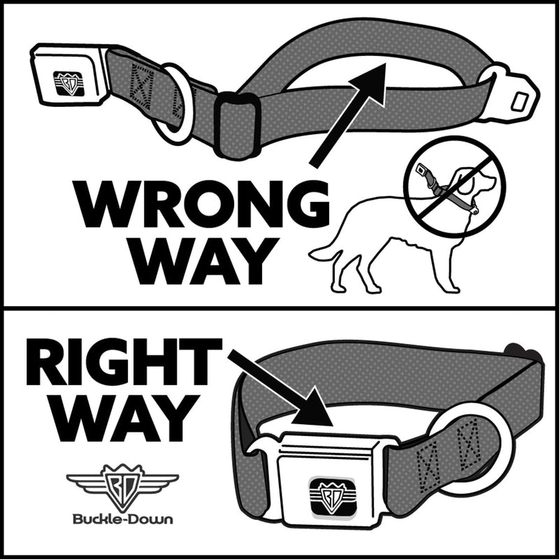 Looney Tunes Logo White Seatbelt Buckle Collar - Sylvester and Tweety Poses Scattered Charcoal