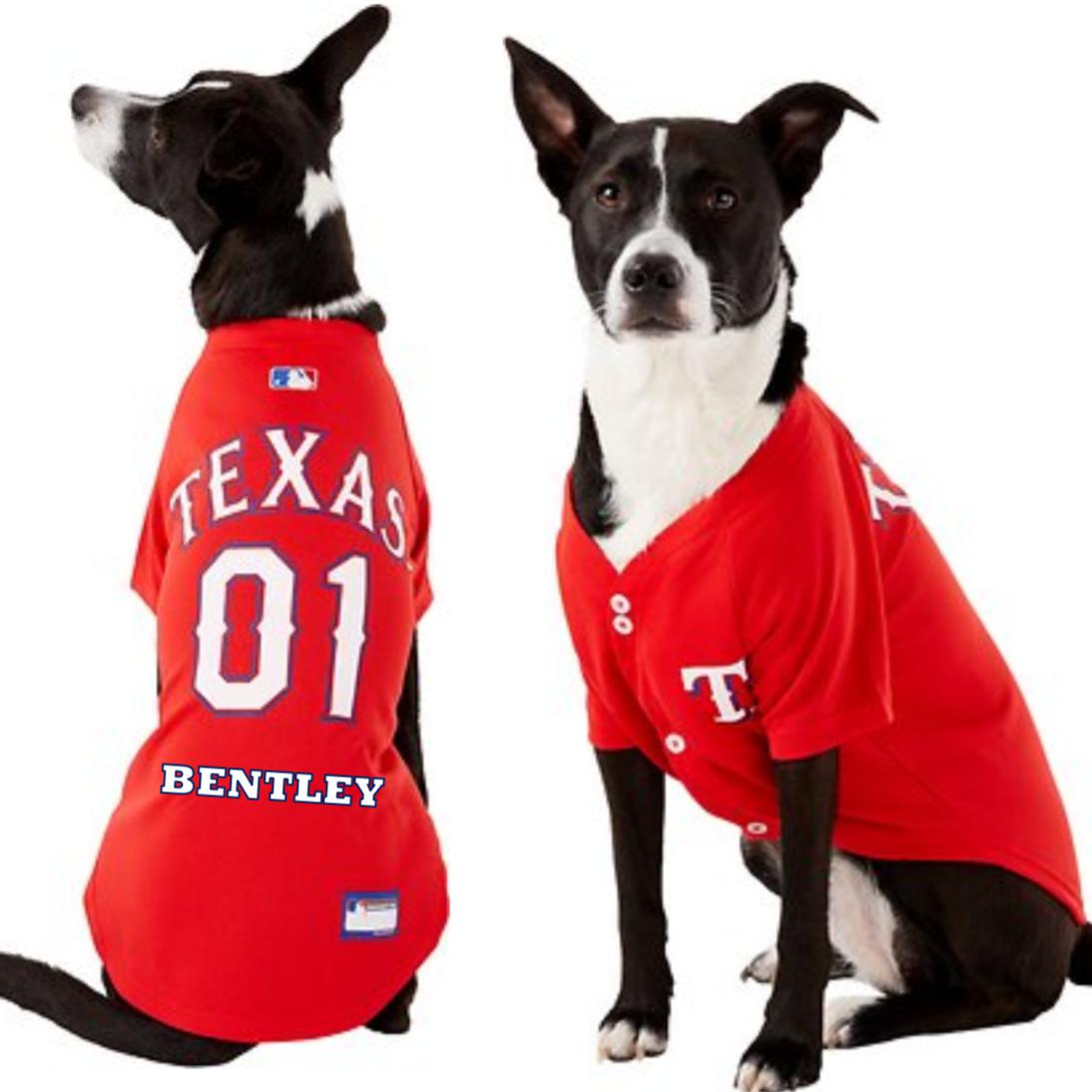 Texas rangers on sale pet jersey