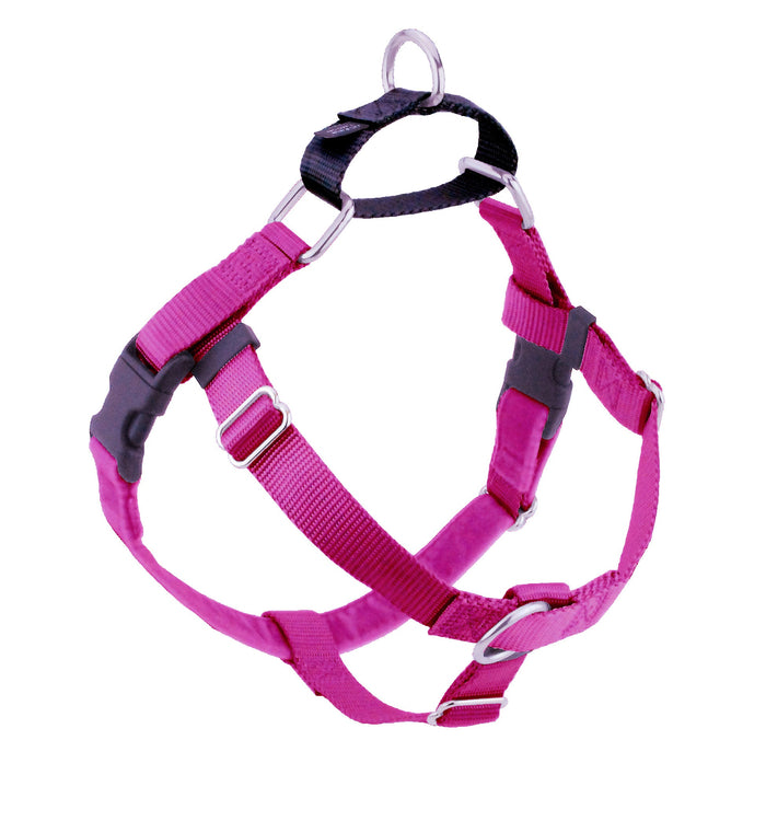 Raspberry Freedom No-Pull Dog Harness