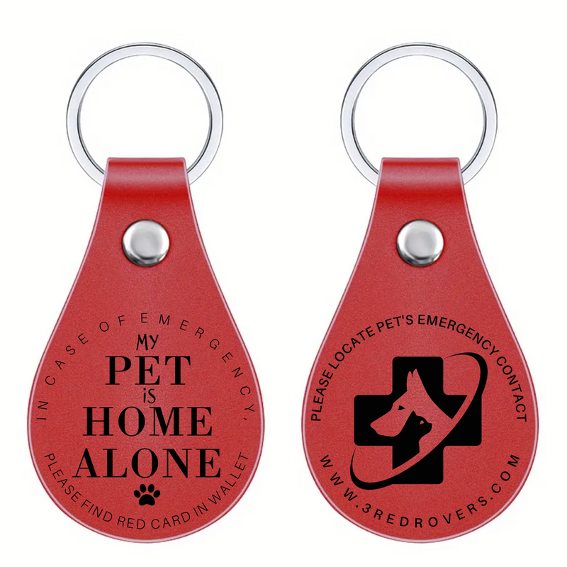 In Case of Emergency Pet Rescue Keychain & Card Set