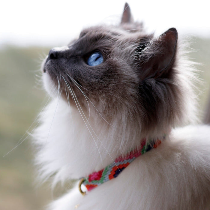 ATWCW Block Island Blue Fog - Mayan Artisan-Handmade Cat Collars
