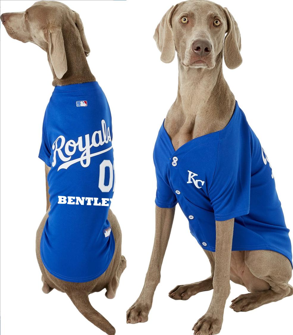 Pets First Kansas City Royals Dog T-shirt