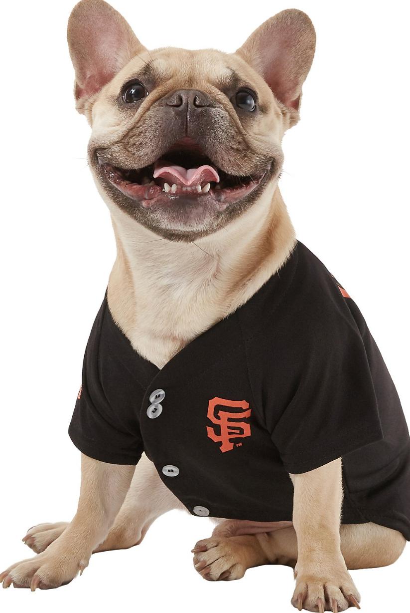 MLB San Francisco Giants Pets First Pet Baseball Jersey - Black XXL
