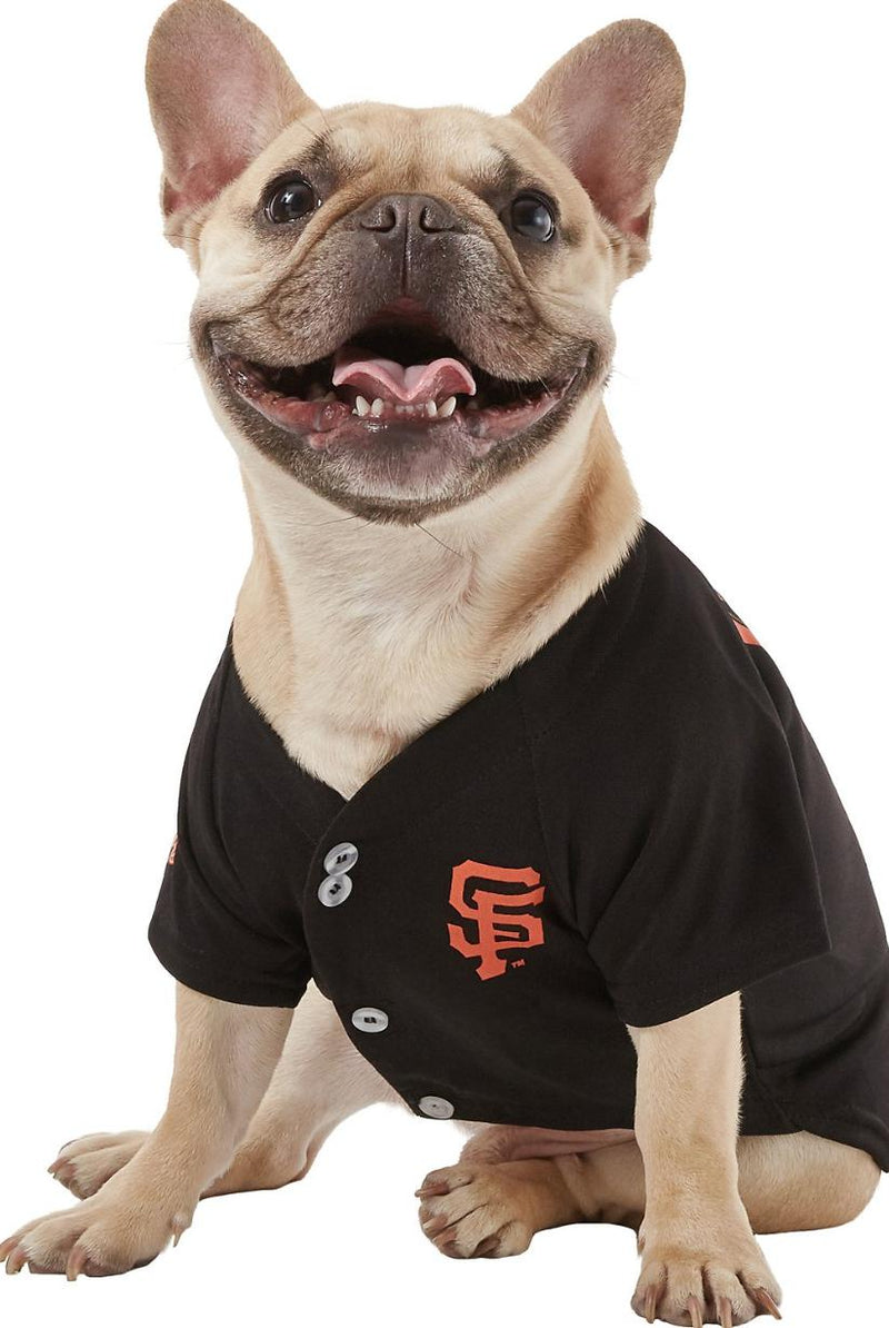 Pets First MLB Baltimore Orioles Tee Shirt for Dogs & Cats. Officially  Licensed - Extra Large 