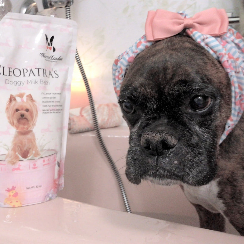 Cleopatra's Doggy Milk Bath