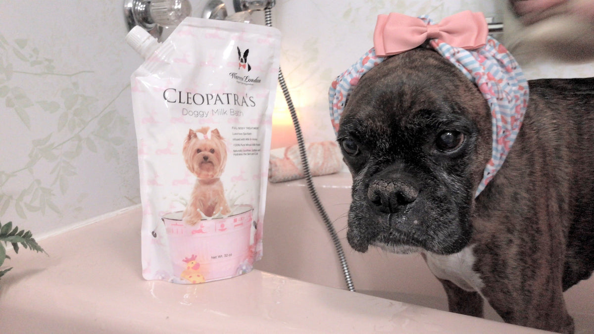 Cleopatra's Doggy Milk Bath