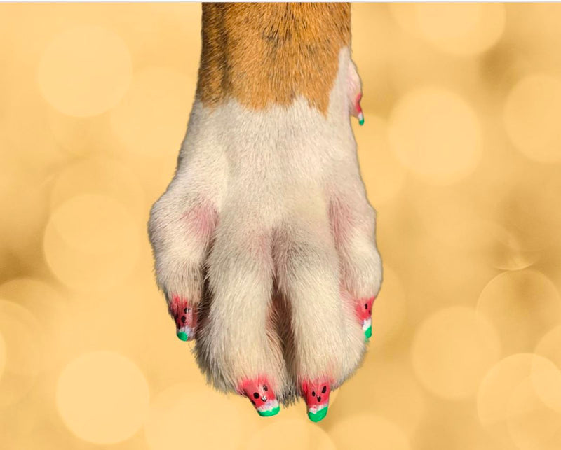 Pawdicure Polish Pens - Choose From 13 Colors! - Dog Nail Polish