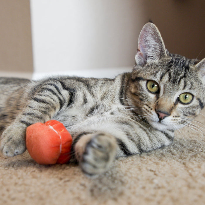 HuggleKats® Ma-Cat-a-Roonies Cat Toys, 3 Pack