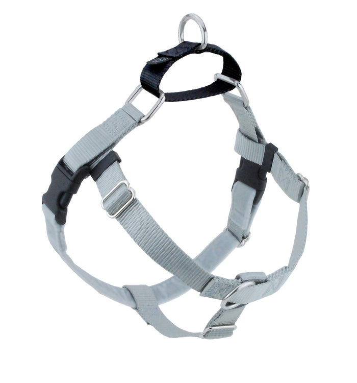 Silver Freedom No-Pull Dog Harness