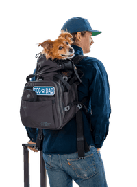 Sky Pack | Convertible Dog Backpack & Pet Carrier