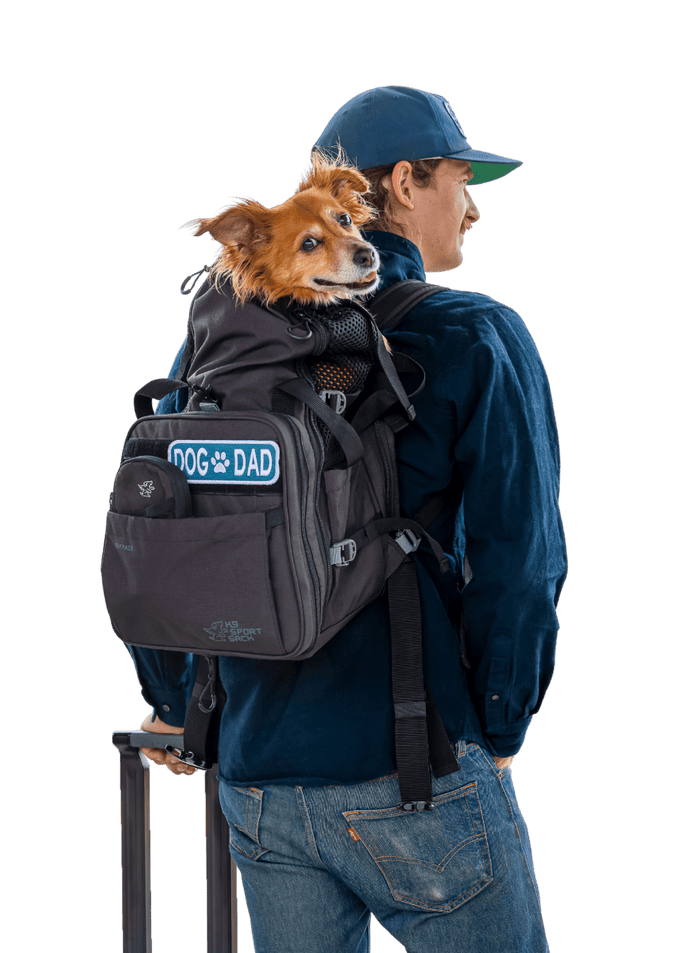 Sky Pack | Convertible Dog Backpack & Pet Carrier