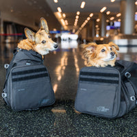Sky Pack | Convertible Dog Backpack & Pet Carrier