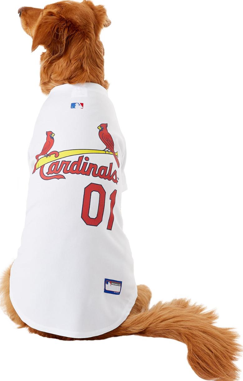 St. Louis Cardinals Officially Licensed Pet Jersey Size large