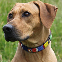Circle of Life Beaded Dog Collar