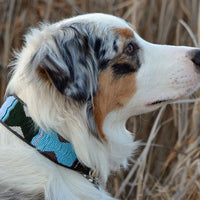 Jacaranda Beaded Dog Collar
