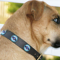 Blue/Brown Circles Beaded Dog Collar
