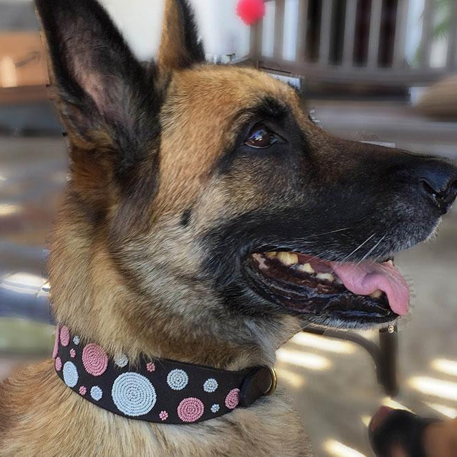 Dots Pink Beaded Dog Collar