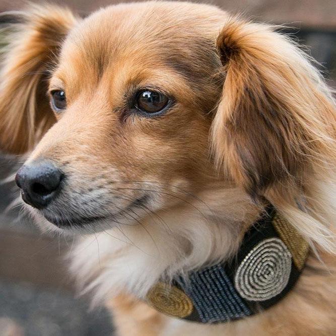 Metallic Circle of Life Beaded Dog Collar