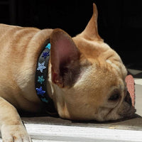 Indigo Stars Beaded Dog Collar