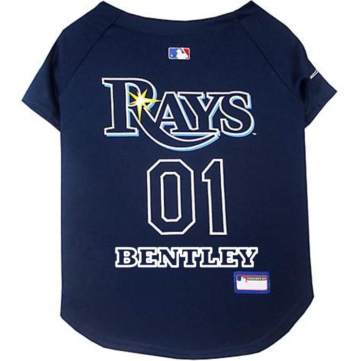 Tampa Bay Rays Pet Jersey - 3 Red Rovers