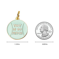 That is So Fetch Pet ID Tag