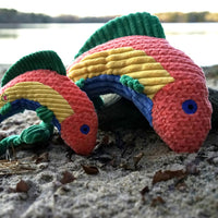 Rauccous Rainbow Trout Knottie® Plush Dog Toy