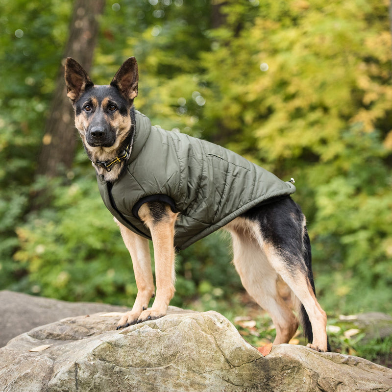 US Army Dog Parka - Dark Camo