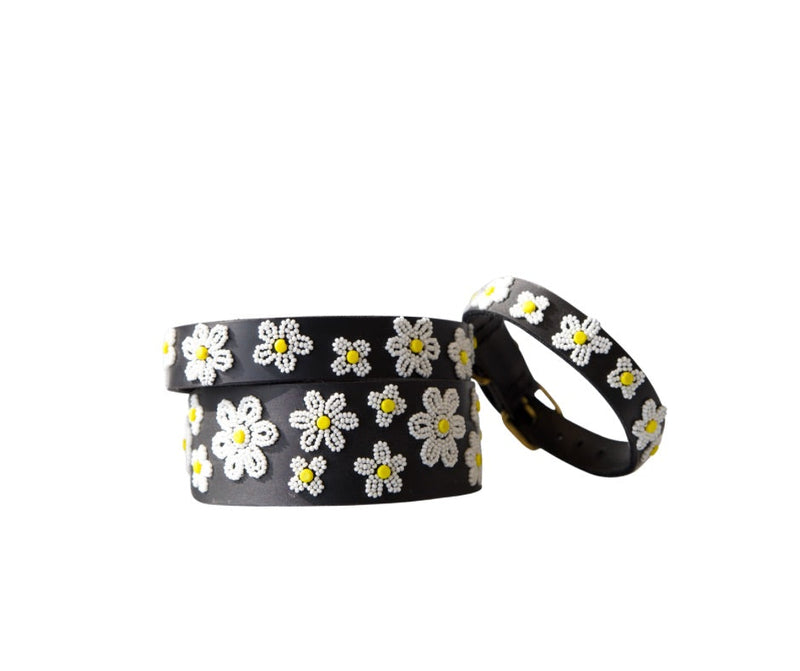 TKC Daisies Beaded Dog Collar
