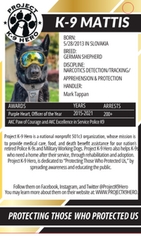 HuggleCause™, Project K-9 Hero, K-9 Mattis Knottie® Plush Dog Toy, Large