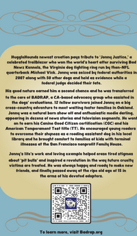 HuggleCause™, BadRap, Jonny Justice Knottie® Plush Dog Toy, Large