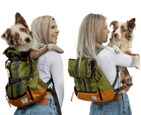 Urban 3 | Dual Use Dog Carrier & Traditional Backpack