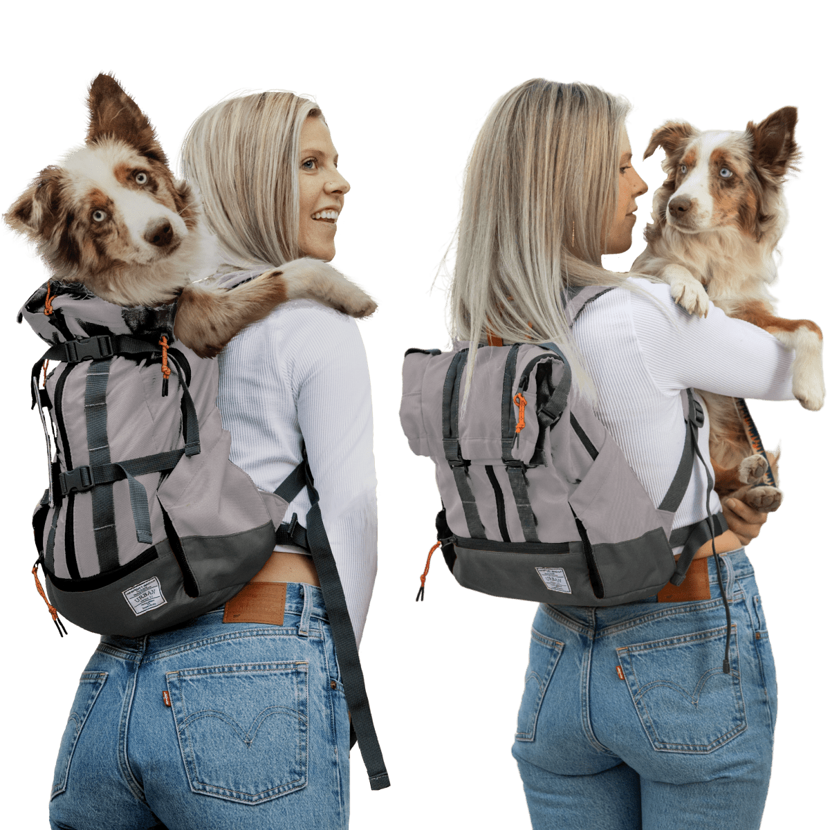 Urban 3 | Dual Use Dog Carrier & Traditional Backpack – 3 Red Rovers