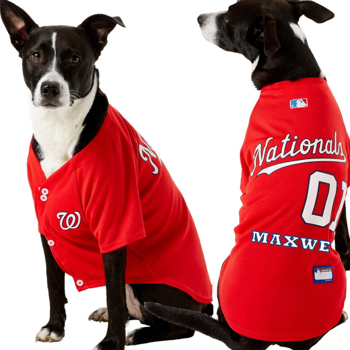 MLB Washington Nationals Pets First Pet Baseball Jersey - Red XXL
