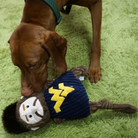 NCAA West Virginia University, Mountaineer Knottie® Plush Dog Toy