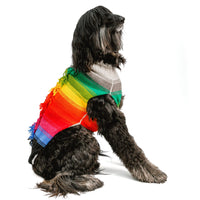 Rainbow Mohawk Sweater