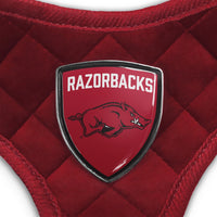 AR Razorbacks Velvet Harness